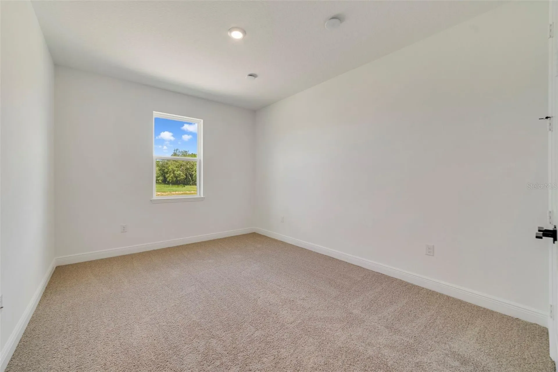3057 Water Clover Court Apopka FL 32712