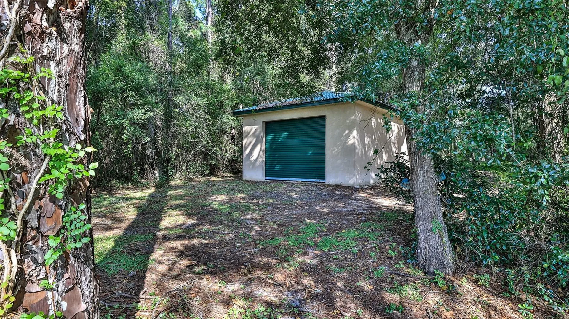 1135 Mckenzie Road Lake Helen FL 32744