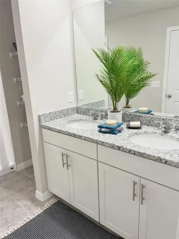8683 Holly Grove Court Riverview FL 33578