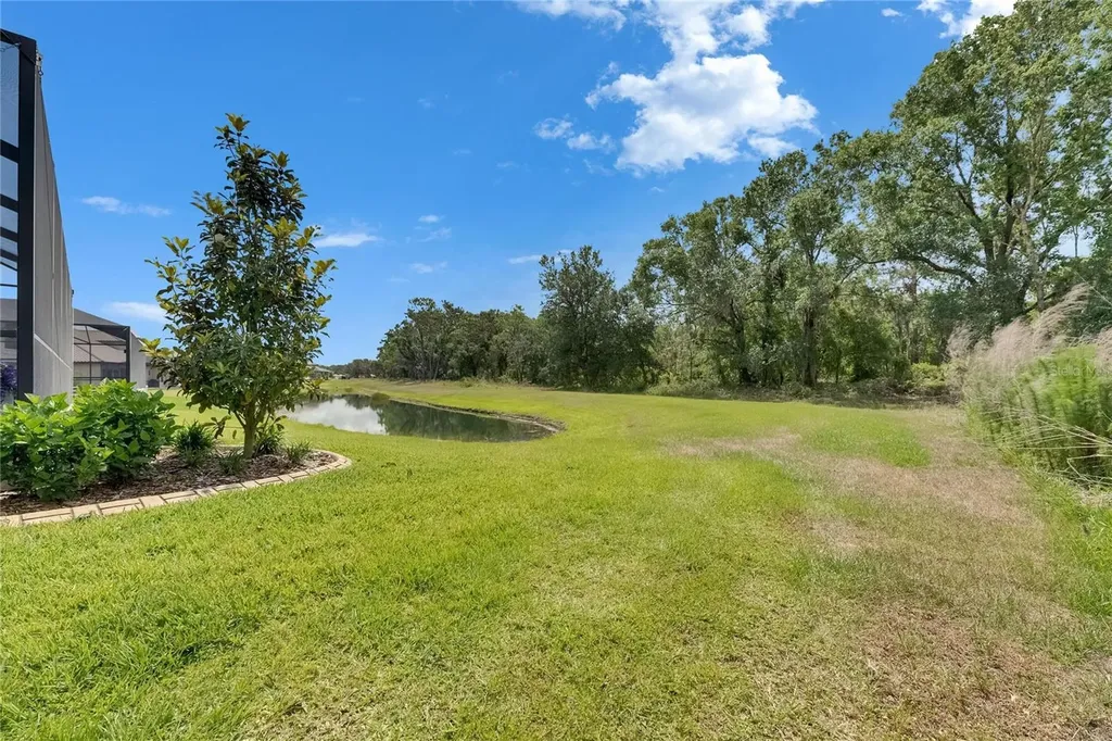 14421 Swiss Bridge Drive Lithia FL 33547