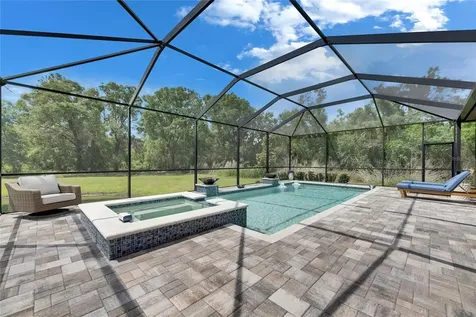 14421 Swiss Bridge Drive Lithia FL 33547