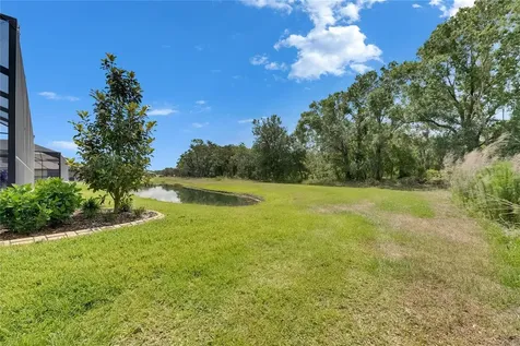 14421 Swiss Bridge Drive Lithia FL 33547