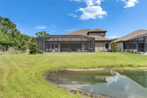 14421 Swiss Bridge Drive Lithia FL 33547