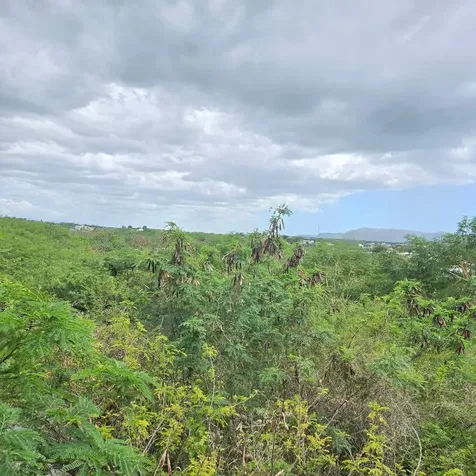 307 Pedernales Ward Cabo Rojo PR 00623