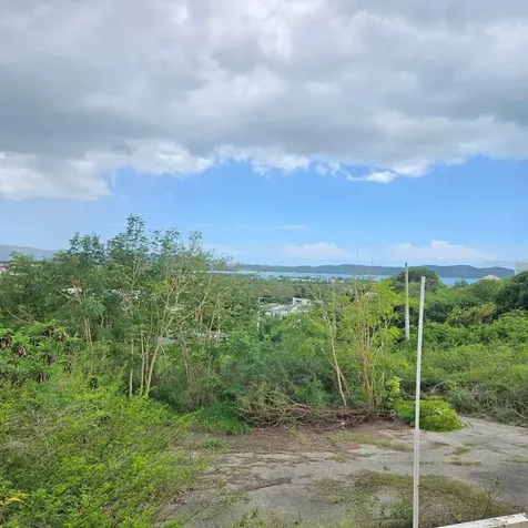 307 Pedernales Ward Cabo Rojo PR 00623