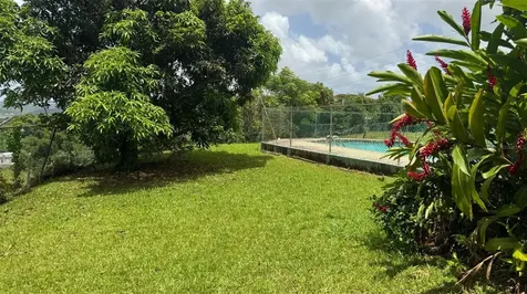 31 Bo. Peña Pobre Naguabo PR 00718