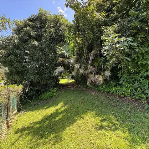 31 Bo. Peña Pobre Naguabo PR 00718