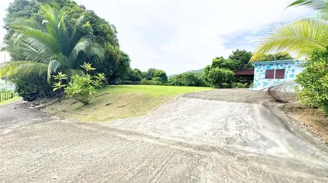 31 Bo. Peña Pobre Naguabo PR 00718