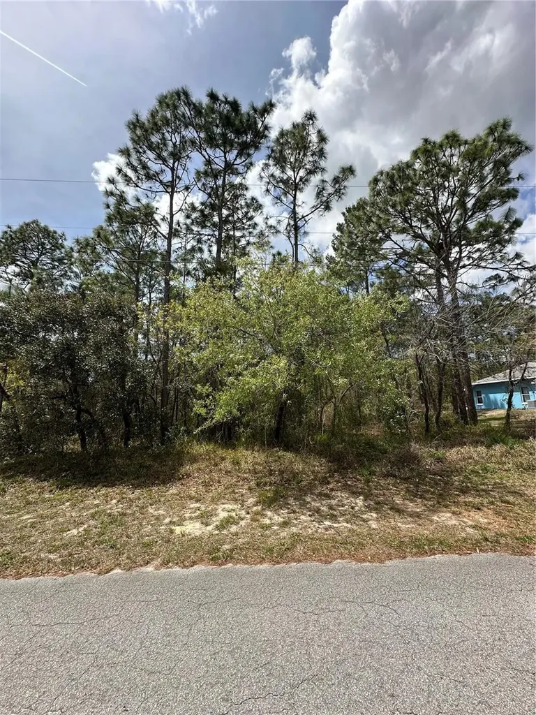 2 Fringetree Court Homosassa FL 34446