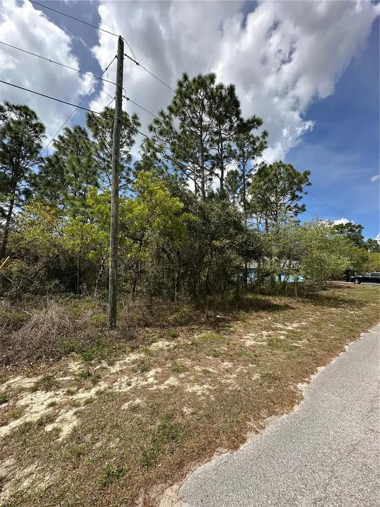 2 Fringetree Court Homosassa FL 34446
