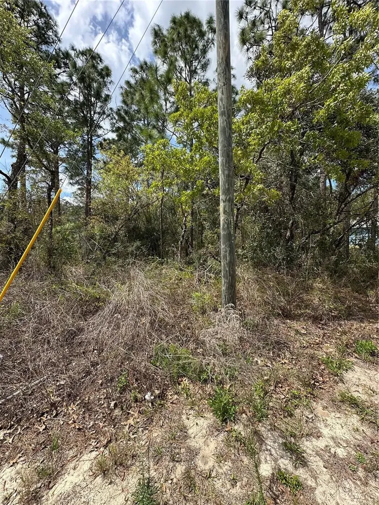 2 Fringetree Court Homosassa FL 34446