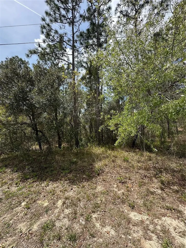 2 Fringetree Court Homosassa FL 34446