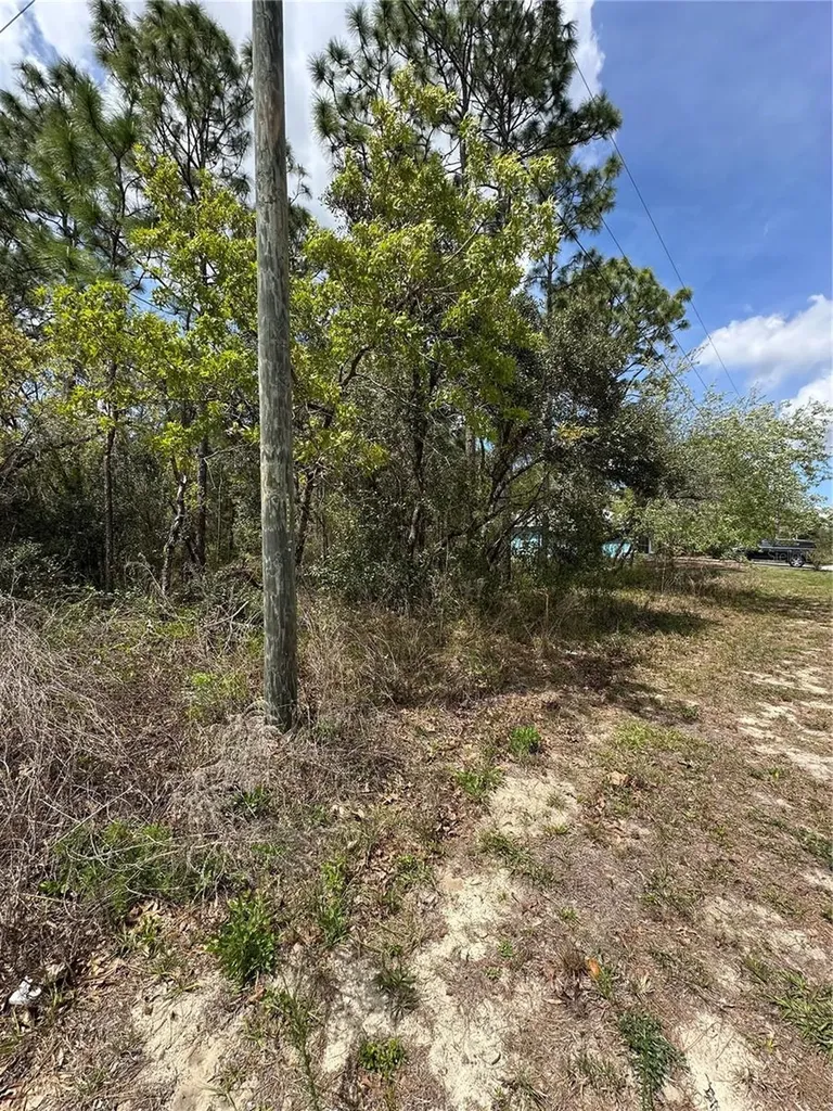 2 Fringetree Court Homosassa FL 34446