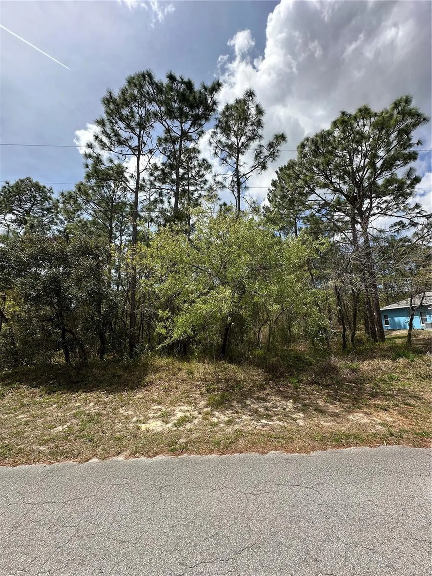 2 Fringetree Court Homosassa FL 34446