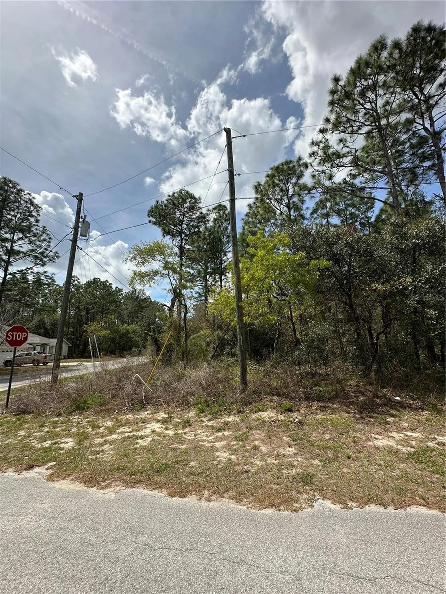 2 Fringetree Court Homosassa FL 34446