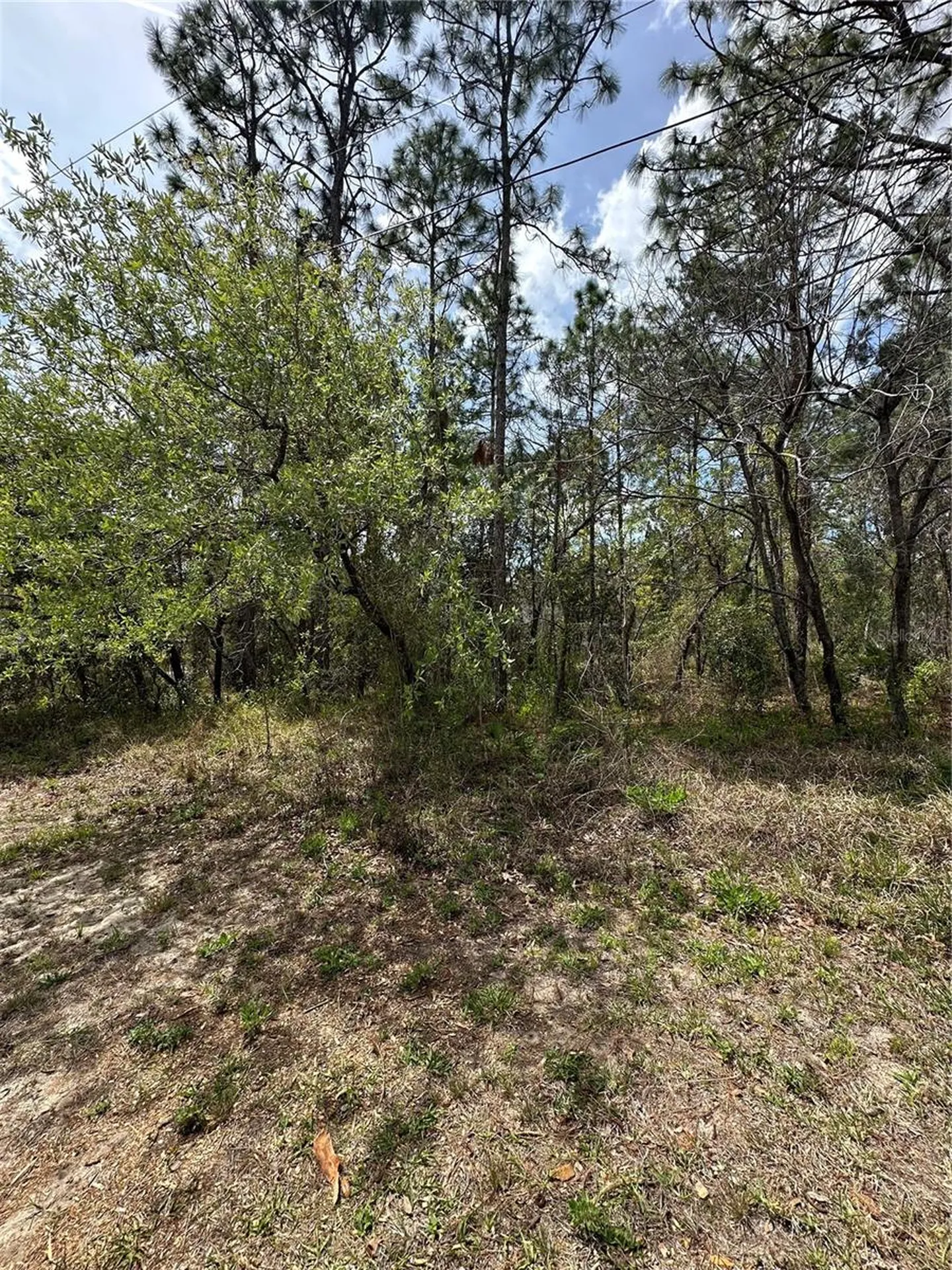 2 Fringetree Court Homosassa FL 34446