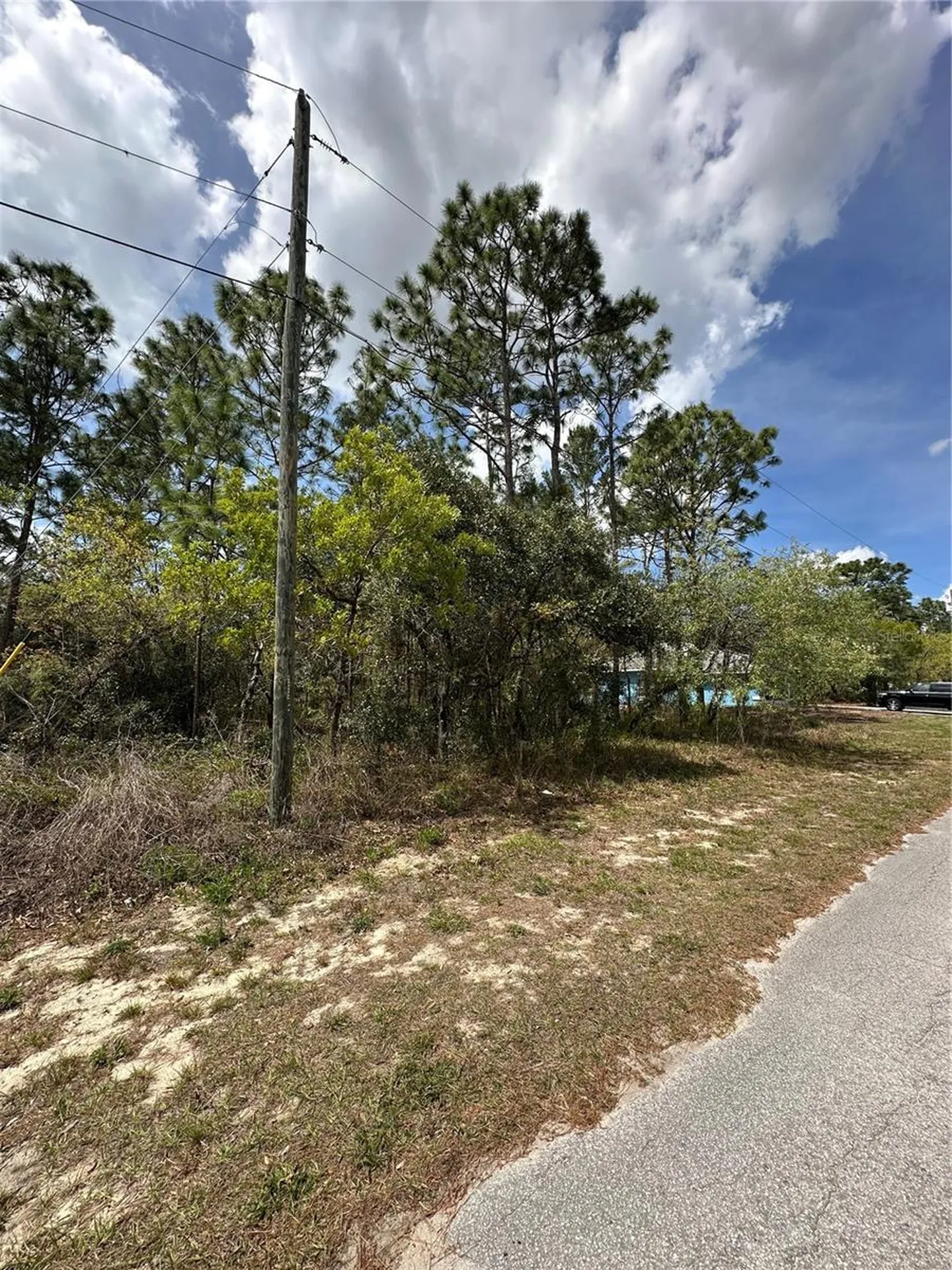 2 Fringetree Court Homosassa FL 34446