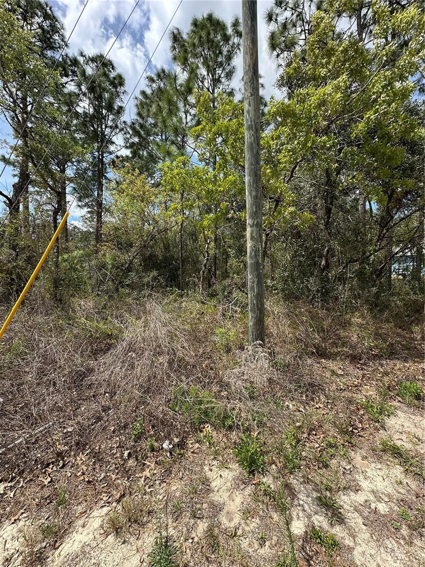 2 Fringetree Court Homosassa FL 34446