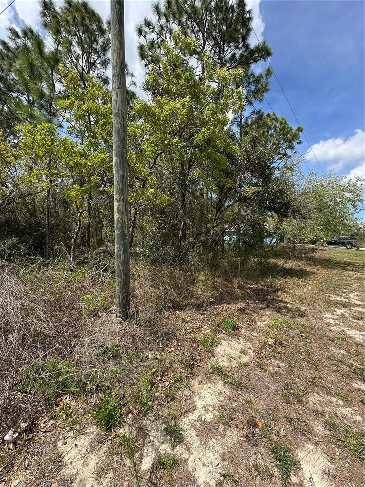 2 Fringetree Court Homosassa FL 34446