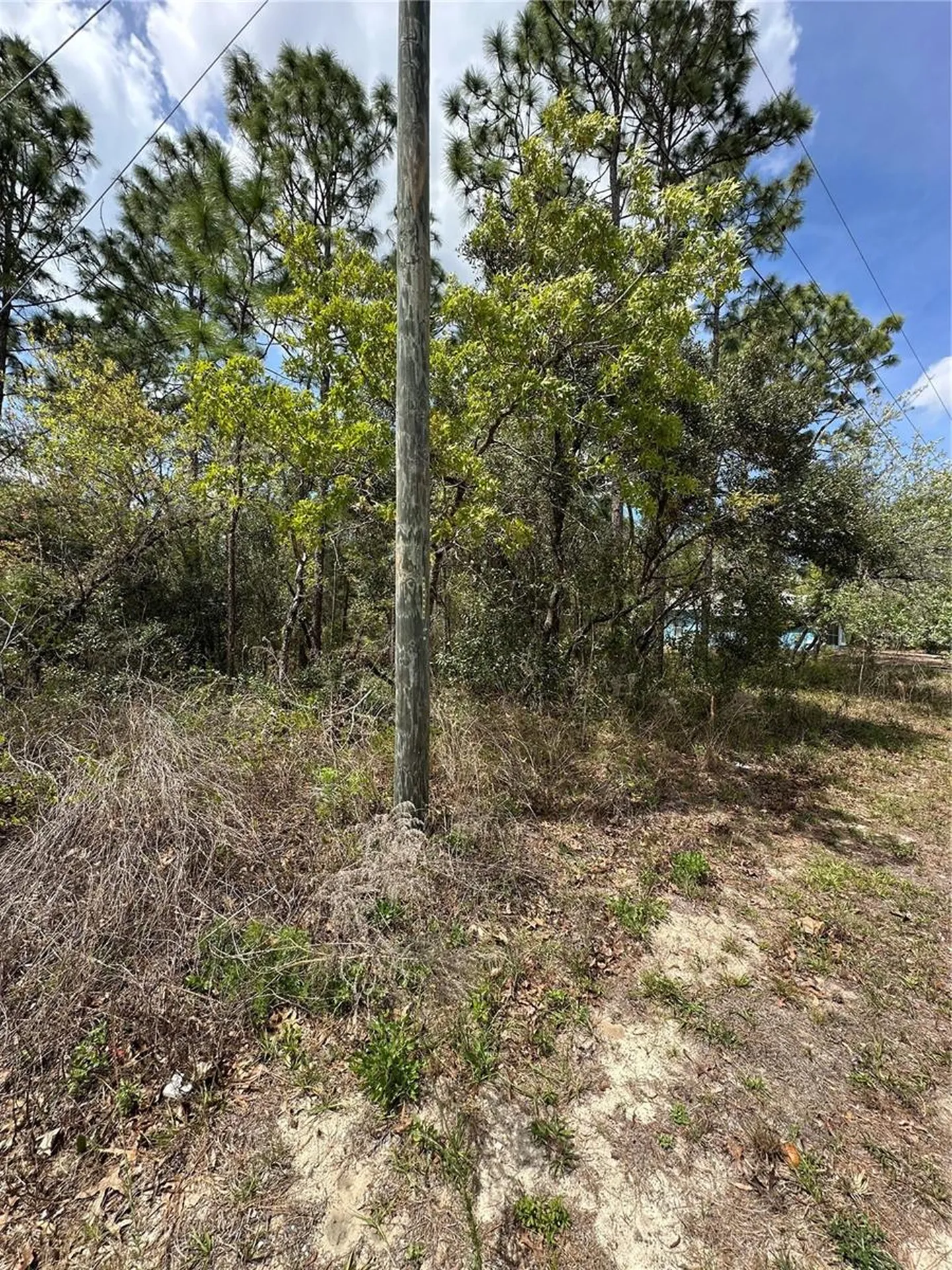 2 Fringetree Court Homosassa FL 34446