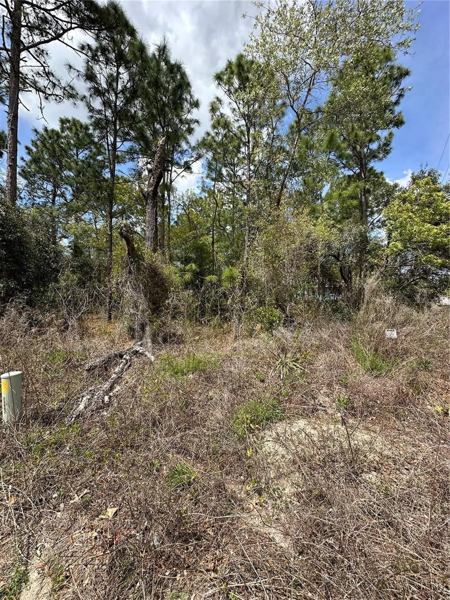 2 Fringetree Court Homosassa FL 34446