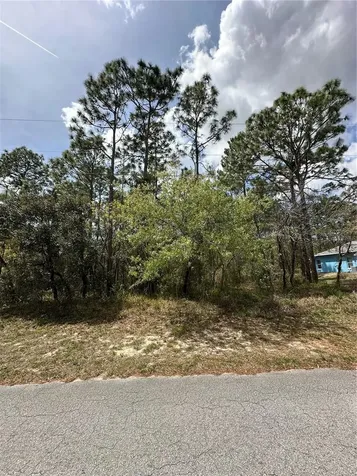 2 Fringetree Court Homosassa FL 34446