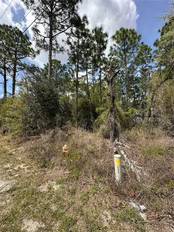 2 Fringetree Court Homosassa FL 34446