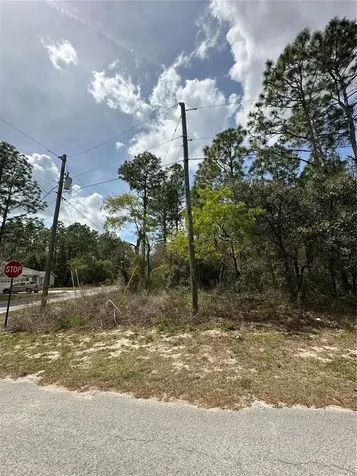 2 Fringetree Court Homosassa FL 34446