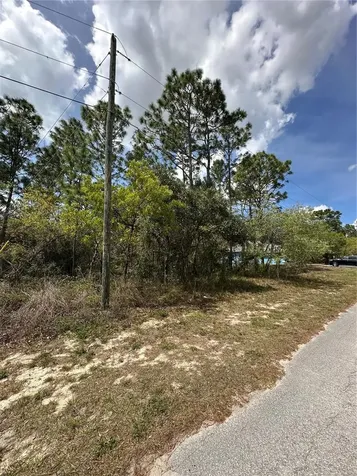 2 Fringetree Court Homosassa FL 34446
