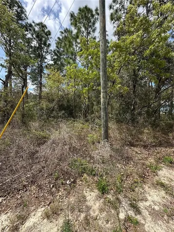 2 Fringetree Court Homosassa FL 34446