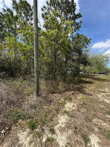 2 Fringetree Court Homosassa FL 34446