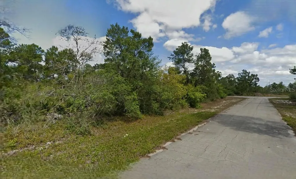 215 & 217 Treasurer Avenue NE Lake Placid FL 33852