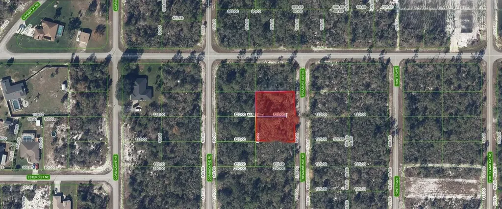 215 & 217 Treasurer Avenue NE Lake Placid FL 33852
