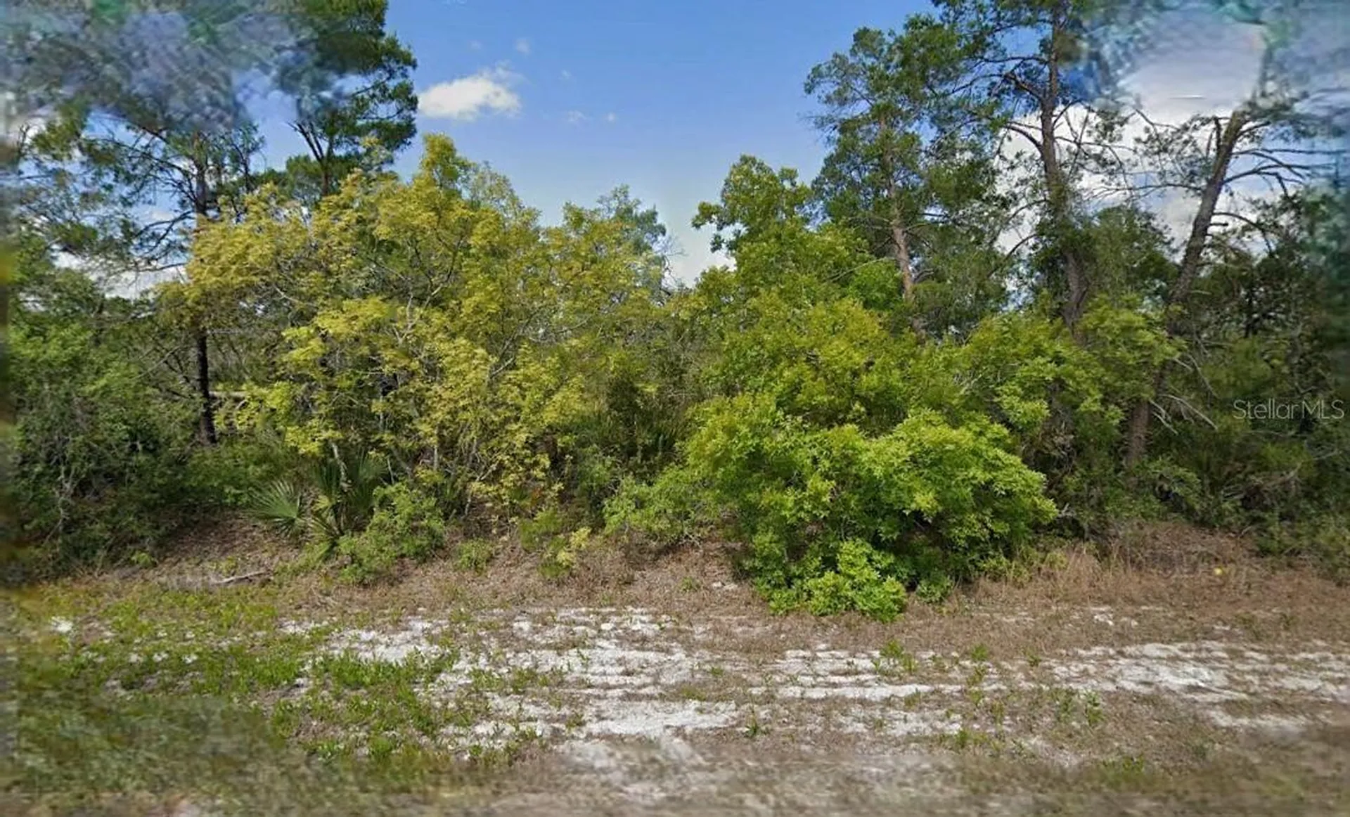 215 & 217 Treasurer Avenue NE Lake Placid FL 33852