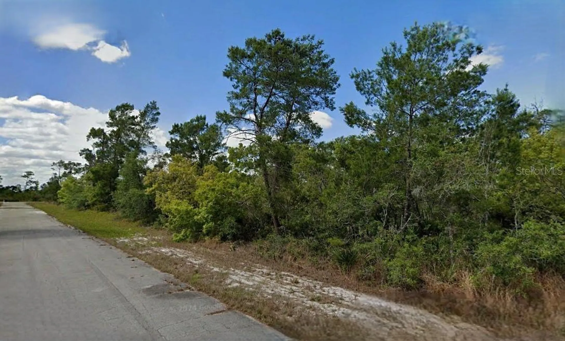 215 & 217 Treasurer Avenue NE Lake Placid FL 33852