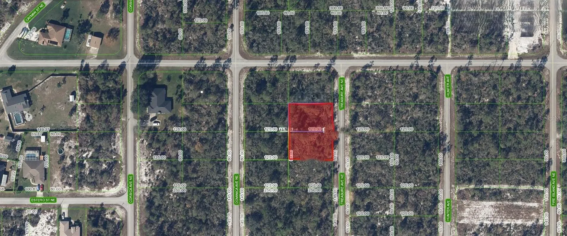 215 & 217 Treasurer Avenue NE Lake Placid FL 33852