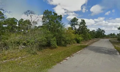 215 & 217 Treasurer Avenue NE Lake Placid FL 33852