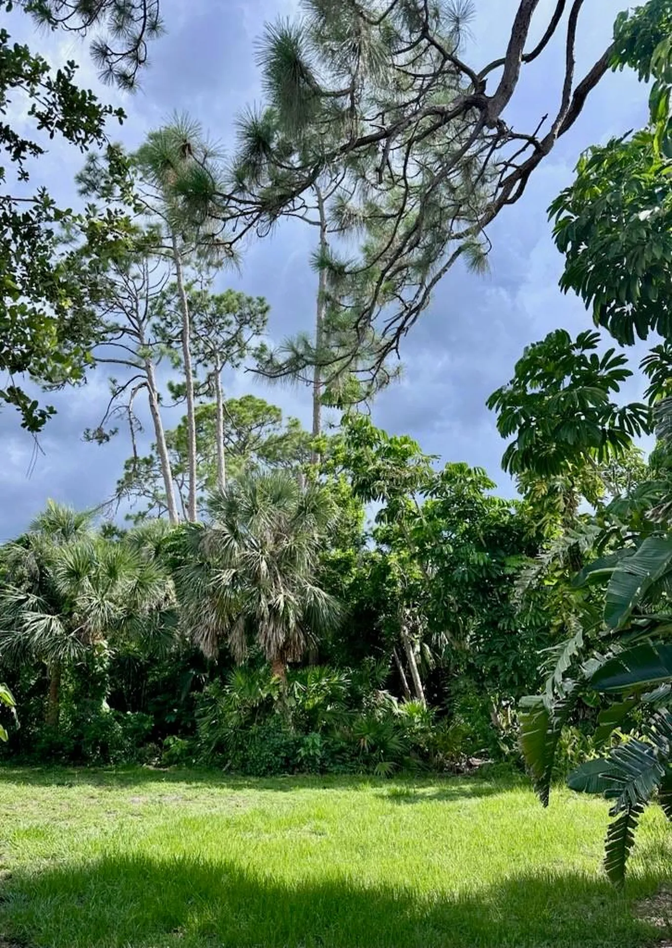 850 Van Gogh Road Englewood FL 34223