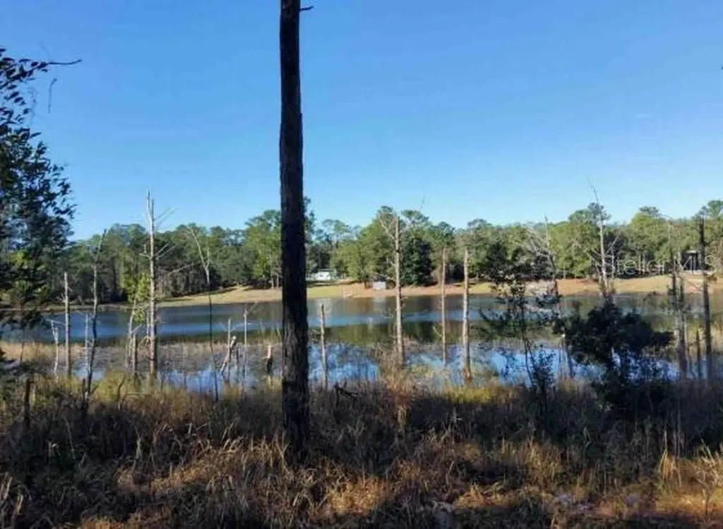 Lot 138 SE 168th Terrace Ocklawaha FL 32179