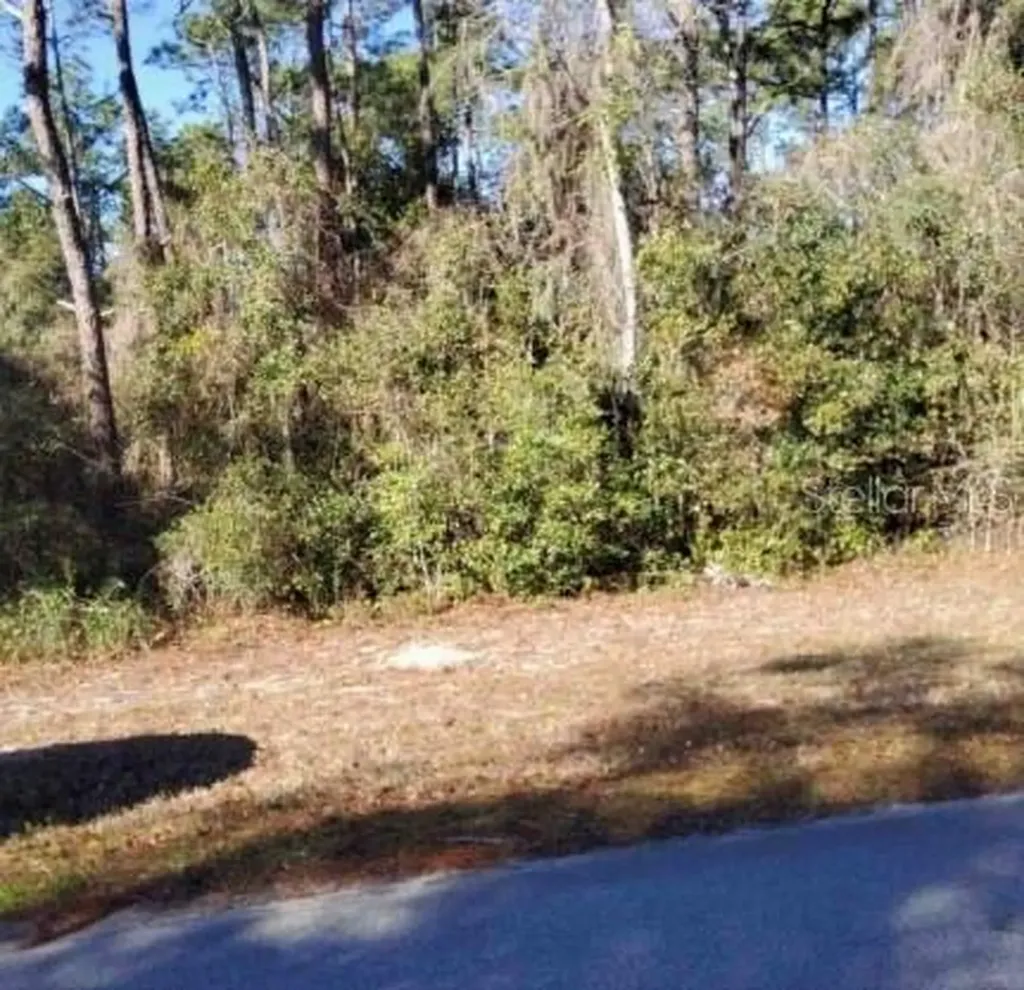 Lot 138 SE 168th Terrace Ocklawaha FL 32179