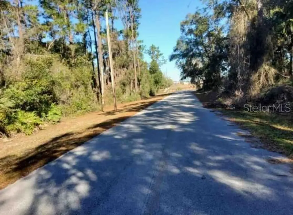 Lot 138 SE 168th Terrace Ocklawaha FL 32179
