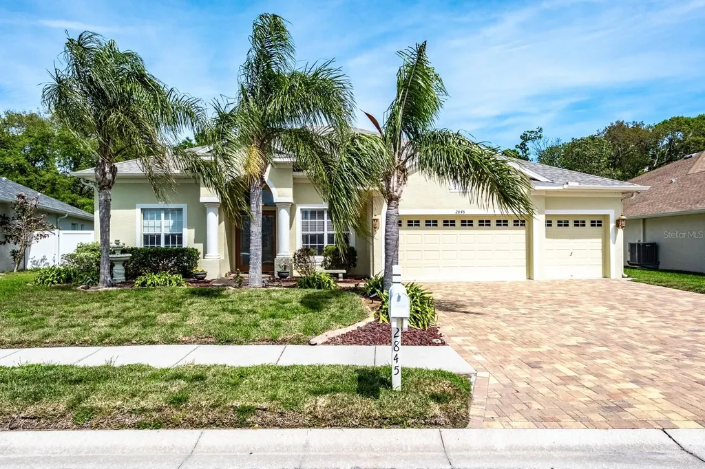 2845 Punta Palma Court Holiday FL 34691