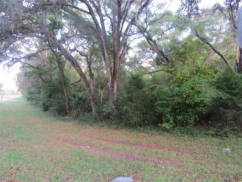 28380 Forbes Street Nobleton FL 34661