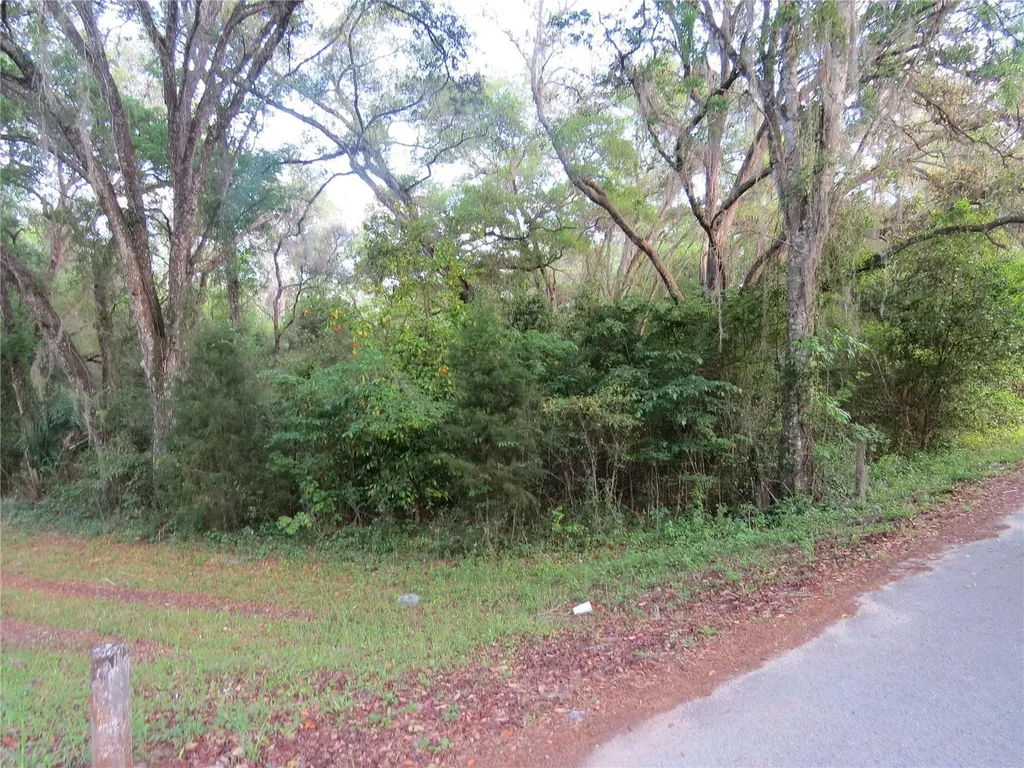 28380 Forbes Street Nobleton FL 34661