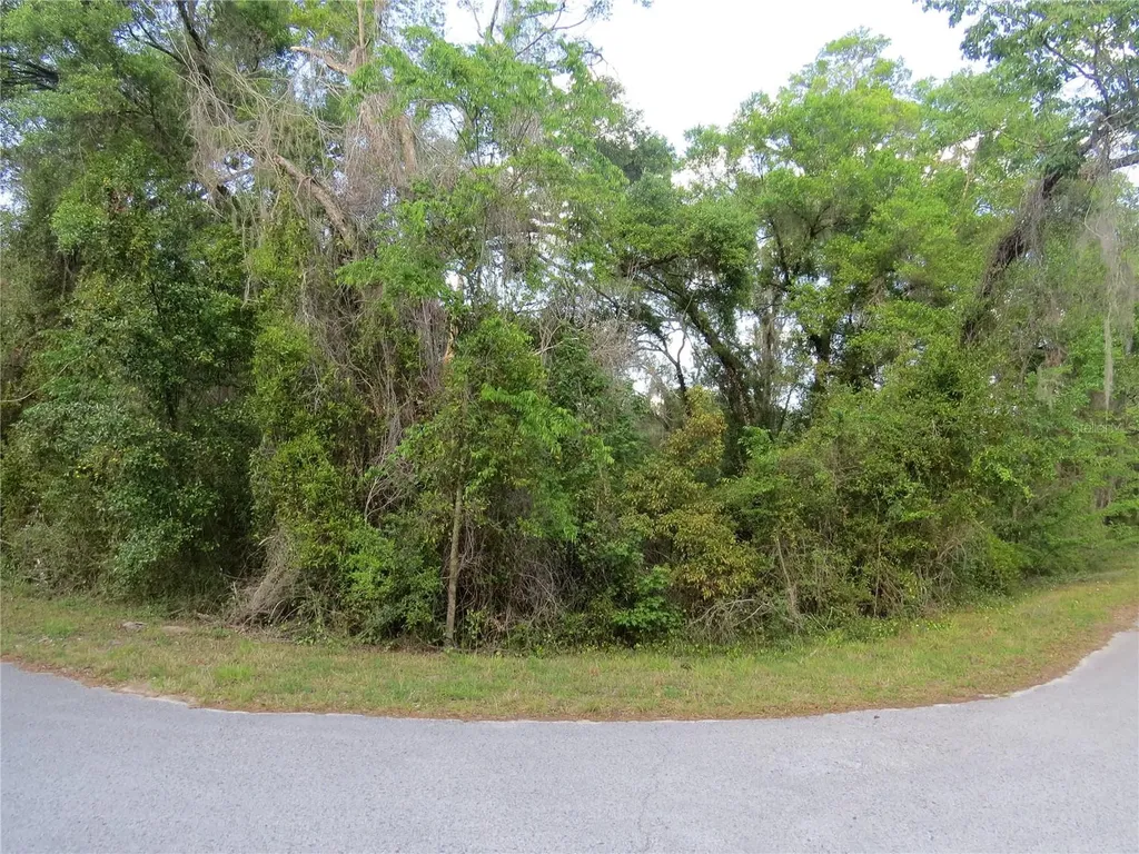 28380 Forbes Street Nobleton FL 34661