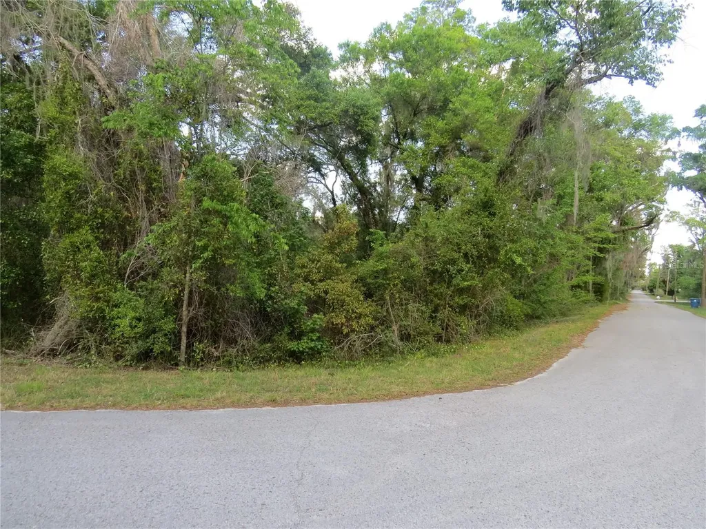 28380 Forbes Street Nobleton FL 34661