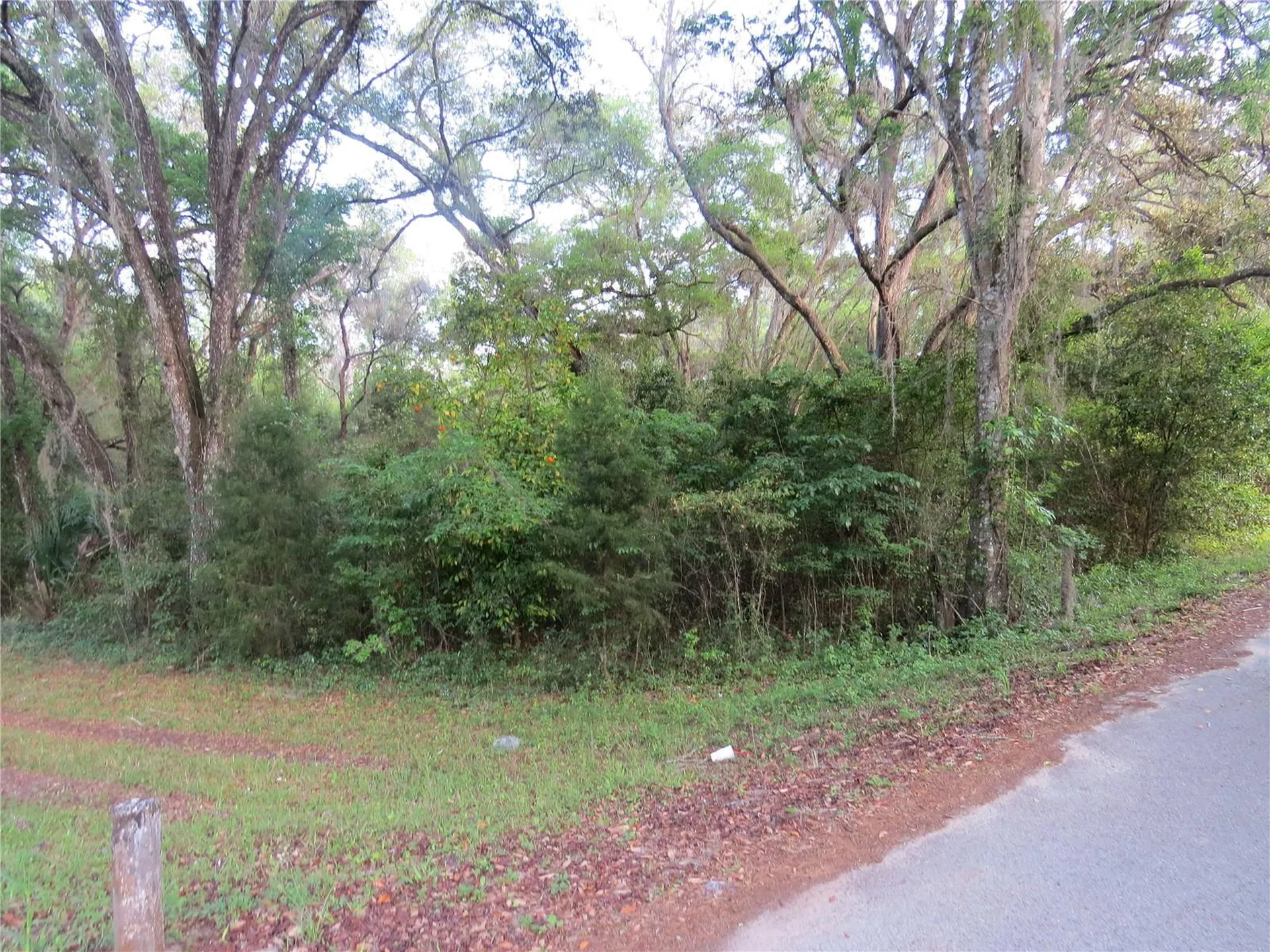 28380 Forbes Street Nobleton FL 34661