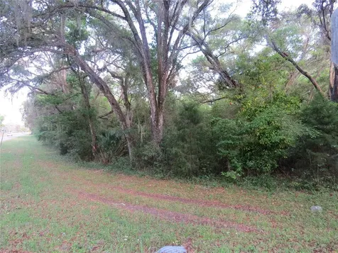 28380 Forbes Street Nobleton FL 34661