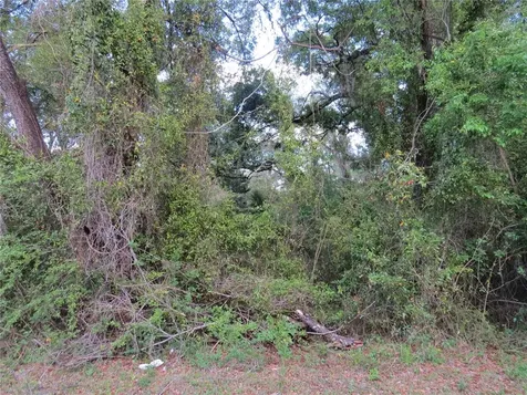 28380 Forbes Street Nobleton FL 34661