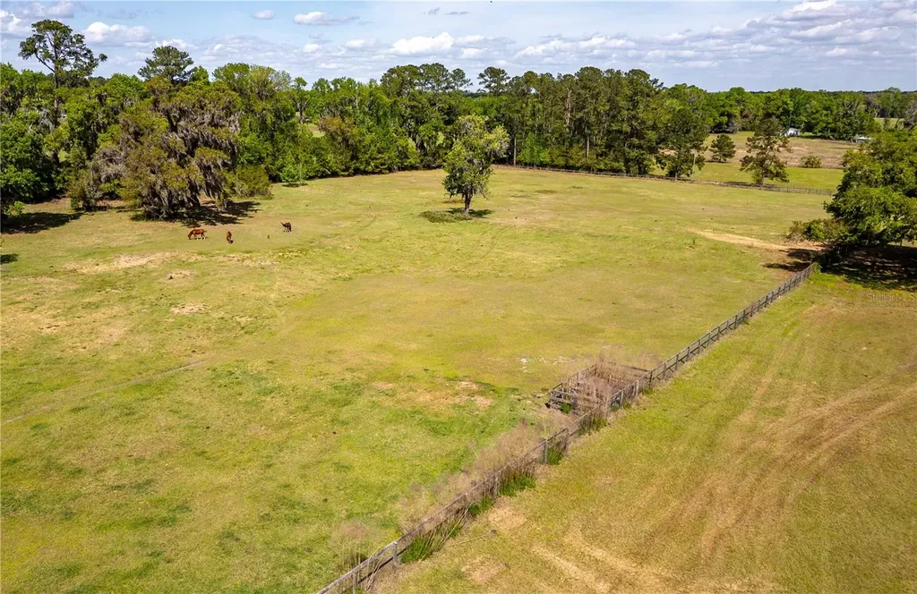 6124 NW 160th Street Reddick FL 32686